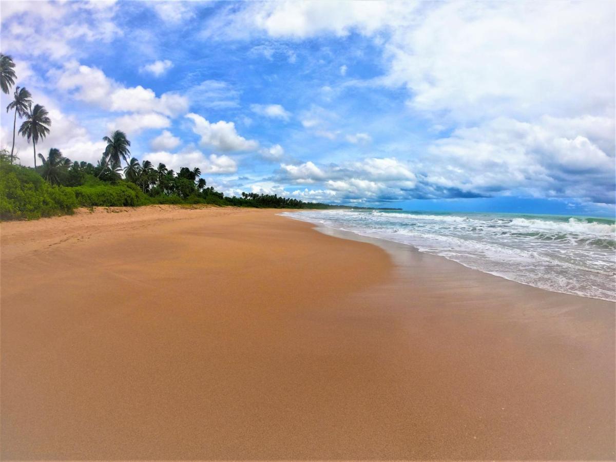Sleeping Elephant Beach Resort تانجالي المظهر الخارجي الصورة